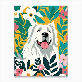 Samoyed Canvas Print