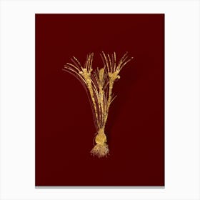 Vintage Cloth of Gold Crocus Botanical in Gold on Red n.0560 Canvas Print