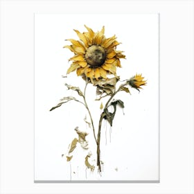 Sunflower 35 Canvas Print