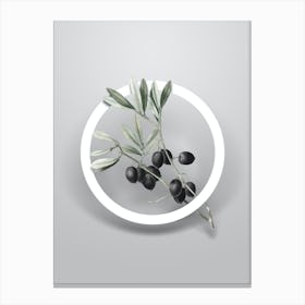 Vintage Olive Tree Branch Minimalist Flower Geometric Circle on Soft Gray n.0099 Canvas Print