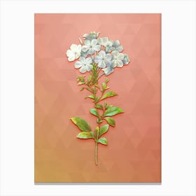 Vintage Plumbago Caerulea Botanical Art on Peach Pink n.0818 Canvas Print