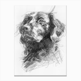 American Water Spaniel Dog Charcoal Line 2 Canvas Print