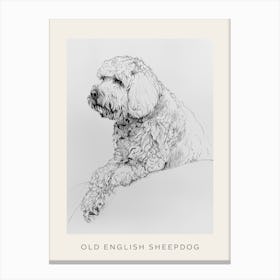 Old English Sheepdog Line Sketch 3 Poster Canvas Print
