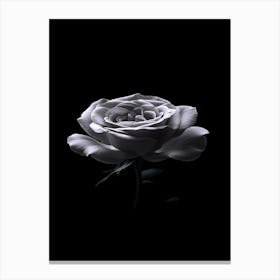 Black Rose 17 Canvas Print