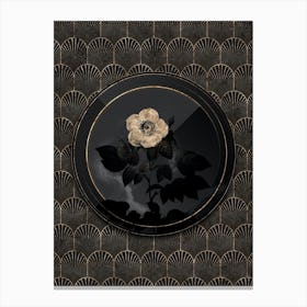 Shadowy Vintage Leschenault's Rose Botanical in Black and Gold n.0027 Canvas Print