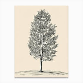 Poplar Tree Minimalistic Drawing 1 Canvas Print