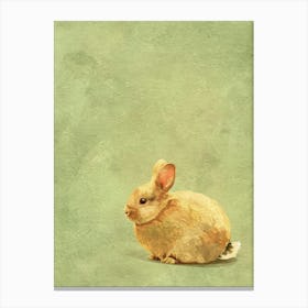 Rabbit On A Green Background Canvas Print