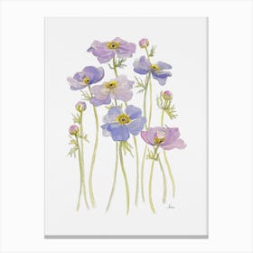 Lilac Anemone Flowers Canvas Print