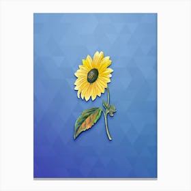 Vintage California Sunflower Botanical Art on Blue Perennial Canvas Print