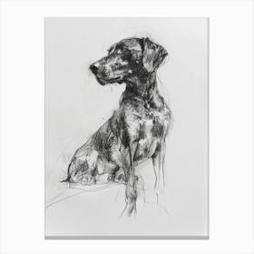 Hound Dog Charcoal Line 1 Canvas Print