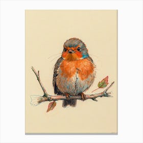 Robin 2 Canvas Print