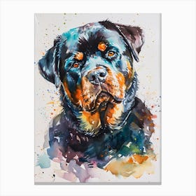 Rottweiler Watercolor Painting 1 Canvas Print