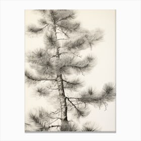 Botanical Winter Branch Vintage Canvas Print