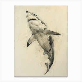 Great White Shark Vintage Illustration 1 Canvas Print