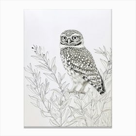 Burrowing Owl Marker Drawing 3 Canvas Print