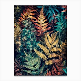 Ferns leaves nature 2 Canvas Print