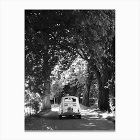Cinquecento Down An Avenue Of Trees Black & White Canvas Print