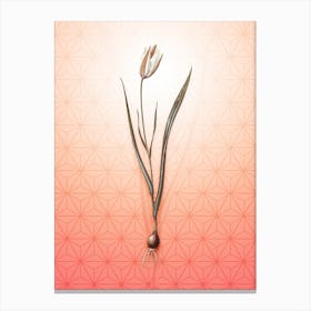 Lady Tulip Vintage Botanical in Peach Fuzz Asanoha Star Pattern n.0083 Canvas Print