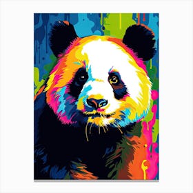 Panda Art In Pop Art Style 4 Canvas Print