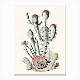 Cylindropuntia Kleiniae William Morris Inspired 1 Canvas Print