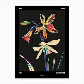 No Rain No Flowers Poster Daffodil 3 Canvas Print