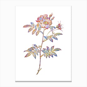 Stained Glass Rosa Redutea Glauca Mosaic Botanical Illustration on White Canvas Print