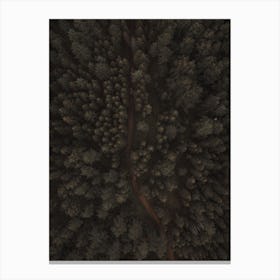 Aerial Forest Scenery Canvas Print