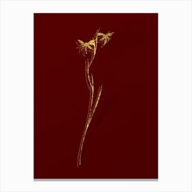 Vintage Gladiolus Watsonius Botanical in Gold on Red n.0234 Canvas Print
