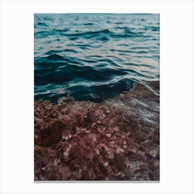 Swimming And Diving Canvas Print