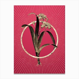 Gold Iris Fimbriata Glitter Ring Botanical Art on Viva Magenta n.0261 Canvas Print