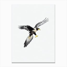Golden Eagle B&W Pencil Drawing 3 Bird Canvas Print