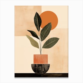 Plant In A Pot 1 Canvas Print