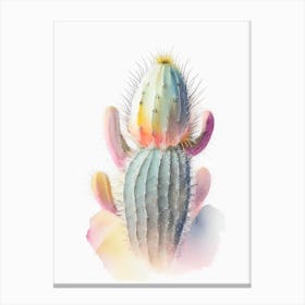 Woolly Torch Cactus Pastel Watercolour 2 Canvas Print