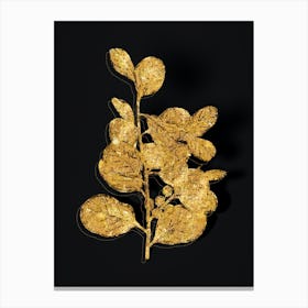 Vintage Lingonberry Evergreen Shrub Botanical in Gold on Black n.0579 Canvas Print