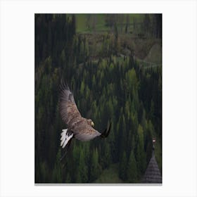 Eagle In Flight Canvas Print