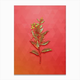 Vintage Evergreen Oak Botanical Art on Fiery Red n.0332 Canvas Print