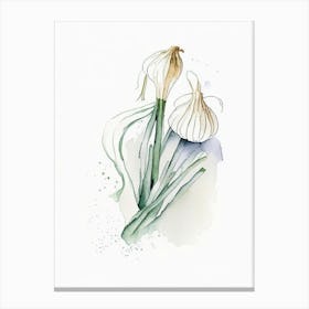 Garlic Herb Minimalist Watercolour 3 Canvas Print