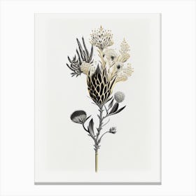 Silver Torch Joshua Tree Gold And Black (8) Canvas Print