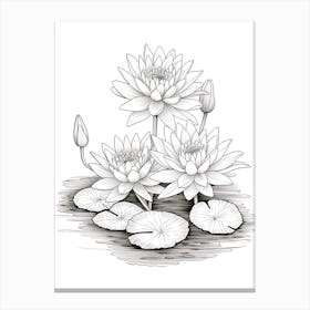 Line Art Inspired By Water Lilies 3 Canvas Print