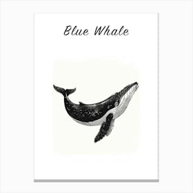 B&W Blue Whale Poster Canvas Print