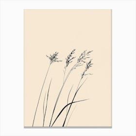 Grass 1 Canvas Print