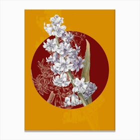Vintage Botanical Hyacinth Jacinthe d' Orient on Circle Red on Yellow n.0239 Canvas Print