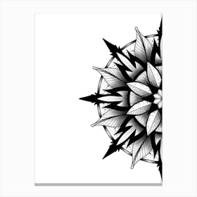 Half view Canvas Print