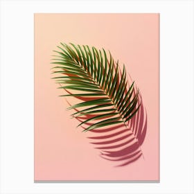 Shadow Of Palm Leaf On Pink Background Canvas Print