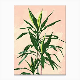 Dracaena Plant Minimalist Illustration 7 Canvas Print