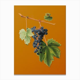 Vintage Grape Colorino Botanical on Sunset Orange n.0279 Canvas Print