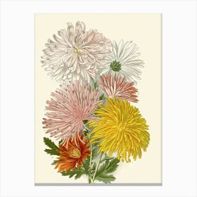 Chrysanthemums 5 Canvas Print