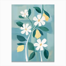 Lemon Blossoms Canvas Print