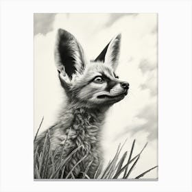 Bat Eared Fox Looking At The Sky Pencil Drawing 4 Canvas Print