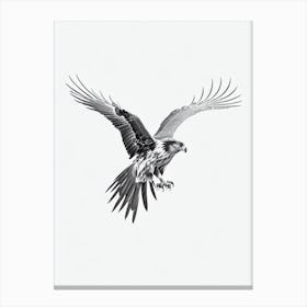 Golden Eagle B&W Pencil Drawing 2 Bird Canvas Print